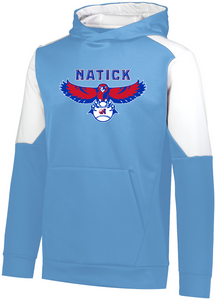 Natick Little League Adult/Youth Poly Fleece Hoody