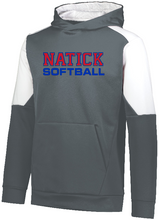 Load image into Gallery viewer, Natick Little League Softball Adult/Youth Poly Fleece Hoody