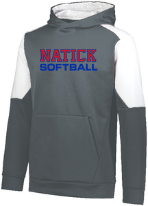 Natick Little League Softball Adult/Youth Poly Fleece Hoody