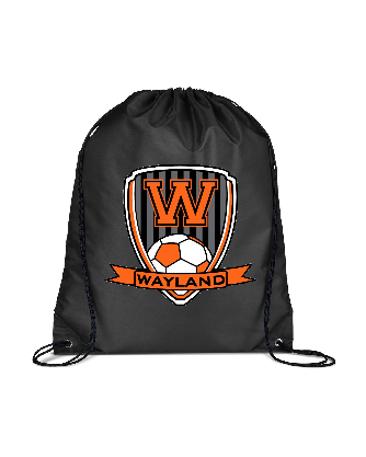 Wayland Soccer Sackpack