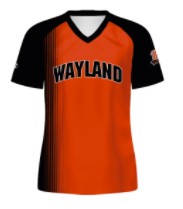 Load image into Gallery viewer, Wayland Softball Orange Away Jersey (All Grades)